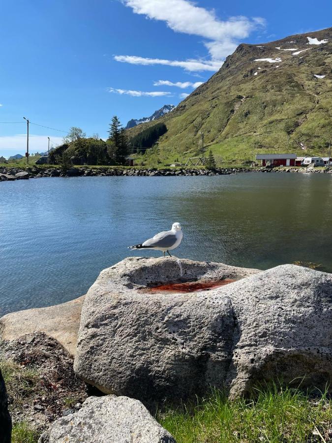 Brustranda Fjordcamping * Valberg